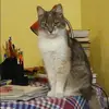 Отзыв от Катюша Ежова